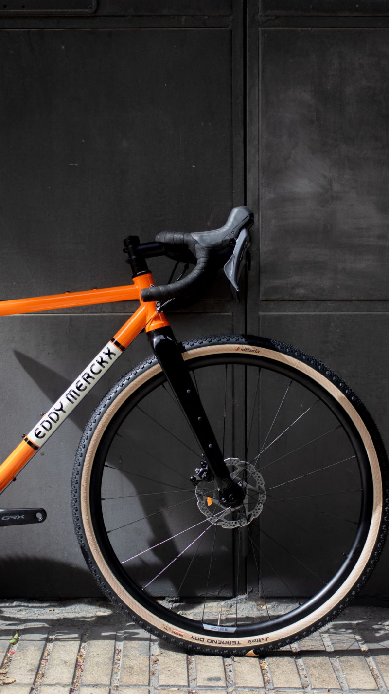 Bicicleta Eddy Merckx Strasbourg Steel