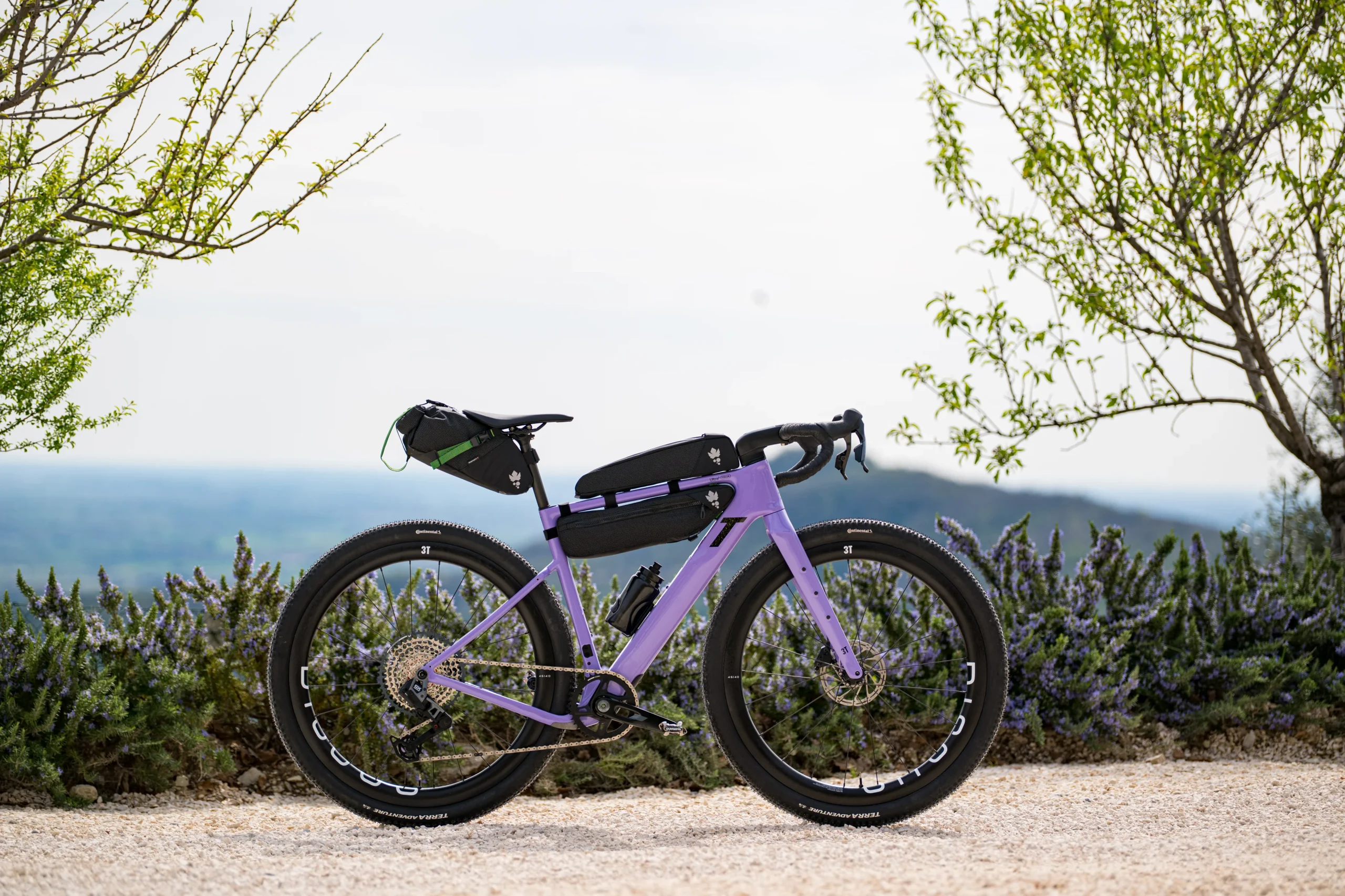NUEVA 3T ULTRA ITALIA EN MADRID